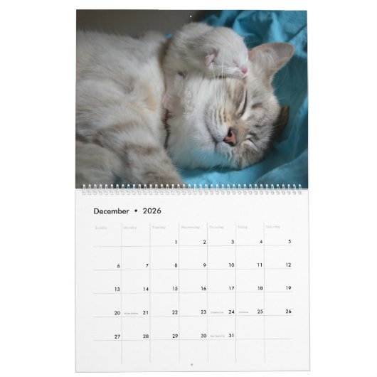 Schlafkatzen & Kittens Niedlich Kitty 2020 Kalender (Dez 2026)
