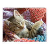 Schlafkatzen & Kittens Niedlich Kitty 2020 Kalender (Titelbild)