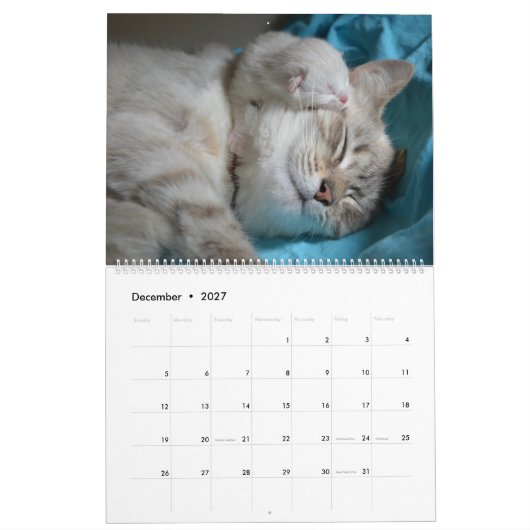 Schlafkatzen & Kittens Niedlich Kitty 2020 Kalender (Dez 2027)