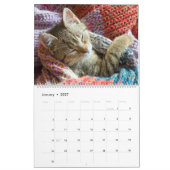 Schlafkatzen & Kittens Niedlich Kitty 2020 Kalender (Jan 2027)
