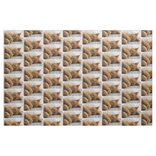 Schlafkatzengewebe Stoff (Fat Quarter (45,7 x 55,9 cm))