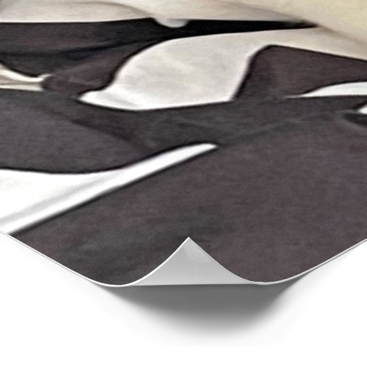 Schlafkatzenposter Poster (Ecke)