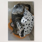 Schlafkatzenpuzzle Puzzle (Vertikal)