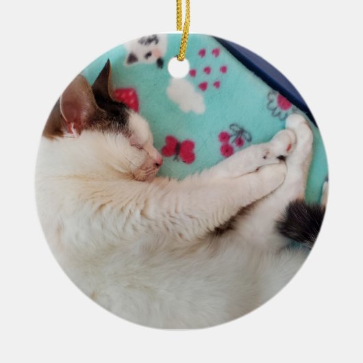 Schlafkatzenschmuck Keramik Ornament (Vorne)