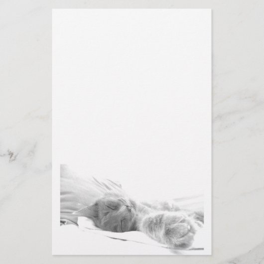 Schlafkatzenstationierung Briefpapier (Vorderseite)