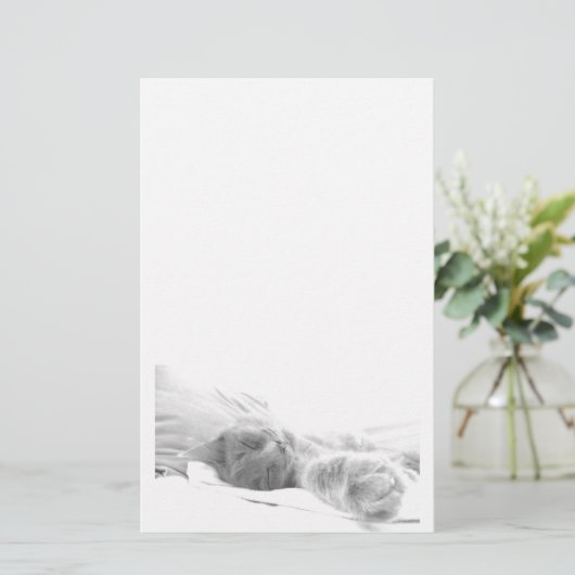 Schlafkatzenstationierung Briefpapier (Stehend Vorderseite)