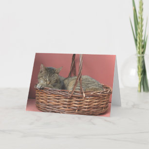Schlafkitchkarte Karte