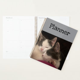 Schlafkitt Planer