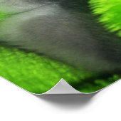 Schlafkitt Poster (Ecke)