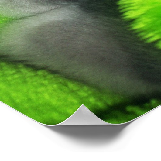 Schlafkitt Poster (Ecke)