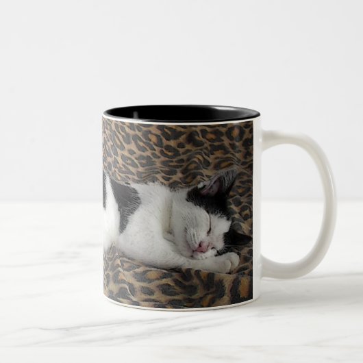 Schlafkitt Zweifarbige Tasse (Rechts)