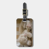 Schlafkitte Gepäckanhänger (Vorderseite vertikal)