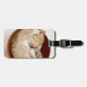 Schlafkitte Gepäckanhänger (Vorderseite horizontal)