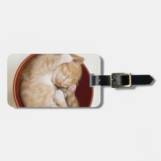 Schlafkitte Gepäckanhänger (Vorderseite horizontal)