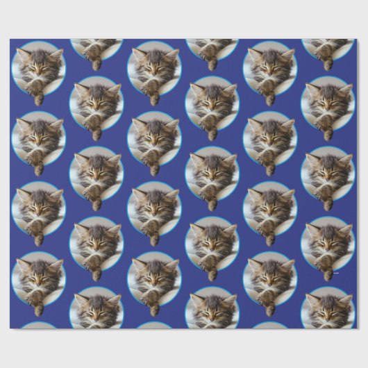 Schlafkitte Geschenkpapier (Flach)