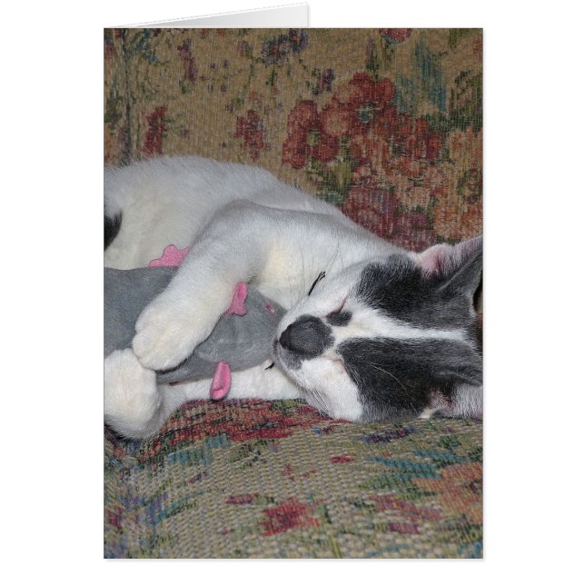 Schlafkitten (Vorne)