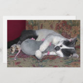 Schlafkitten Briefpapier (Vorne/Hinten)