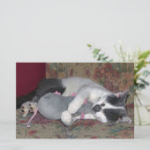 Schlafkitten Briefpapier (Stehend Vorderseite)