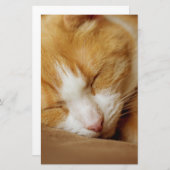 Schlafkitten Briefpapier (Vorne/Hinten)