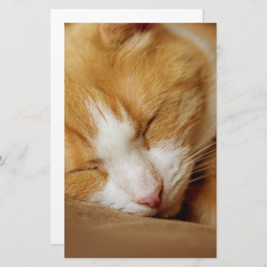 Schlafkitten Briefpapier (Vorne/Hinten)