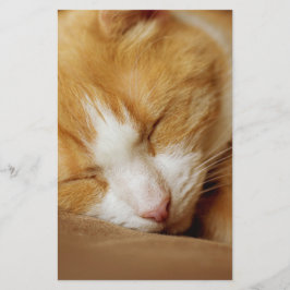 Schlafkitten Briefpapier