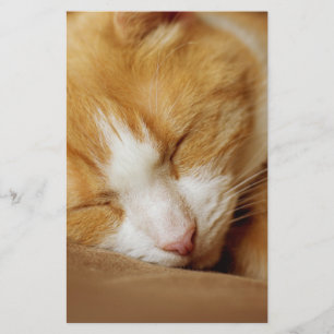 Schlafkitten Briefpapier