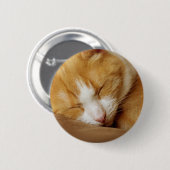 Schlafkitten Button (Vorne & Hinten)