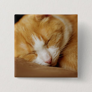 Schlafkitten Button