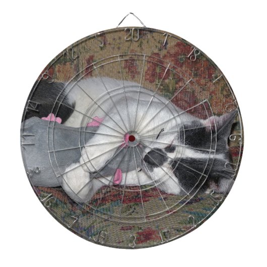 Schlafkitten Dartscheibe (vorne)