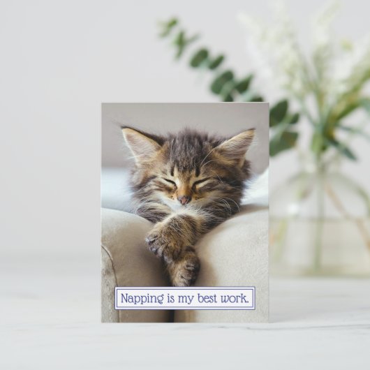 Schlafkitten Einladungspostkarte (Stehend Vorderseite)