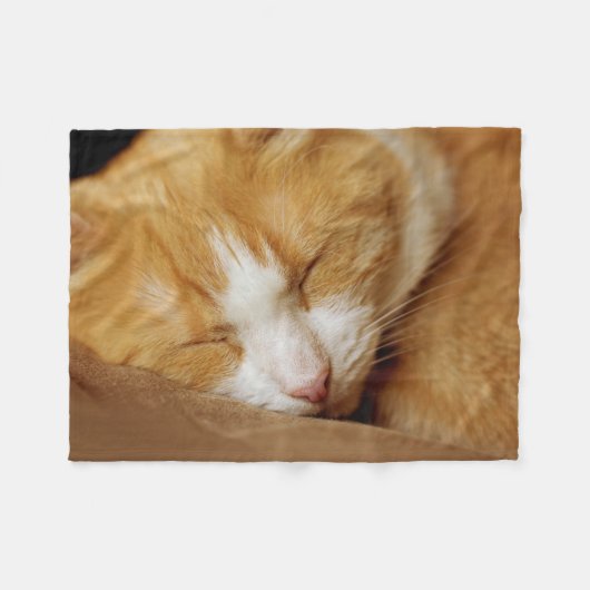 Schlafkitten Fleecedecke (Vorderseite (Horizontal))