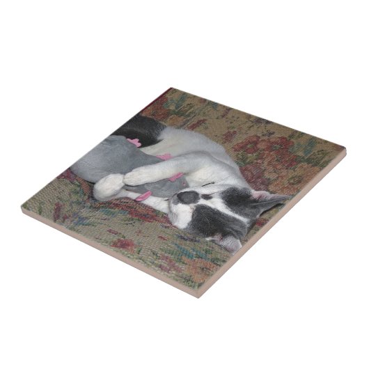 Schlafkitten Fliese (Seite)