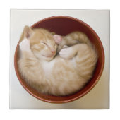 Schlafkitten Fliese (Vorderseite)