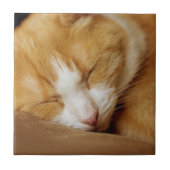 Schlafkitten Fliese (Vorderseite)