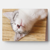 Schlafkitten Fotoplatte (Vorderseite)