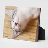 Schlafkitten Fotoplatte (Seite)