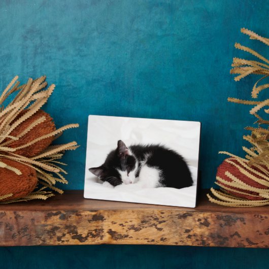 Schlafkitten Fotoplatte (Seite)