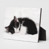 Schlafkitten Fotoplatte (Seite)