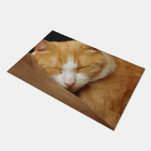 Schlafkitten Fußmatte (Schrägansicht)