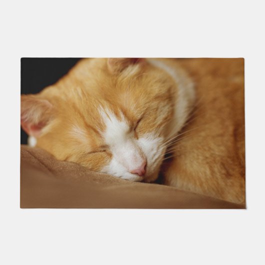 Schlafkitten Fußmatte (Vorderseite)