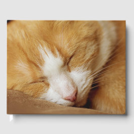 Schlafkitten Gästebuch