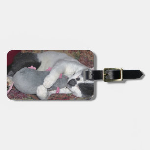 Schlafkitten Gepäckanhänger