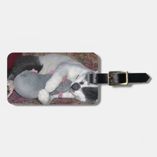 Schlafkitten Gepäckanhänger (Vorderseite horizontal)