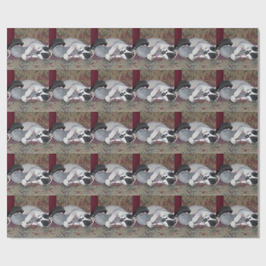 Schlafkitten Geschenkpapier (Flach)