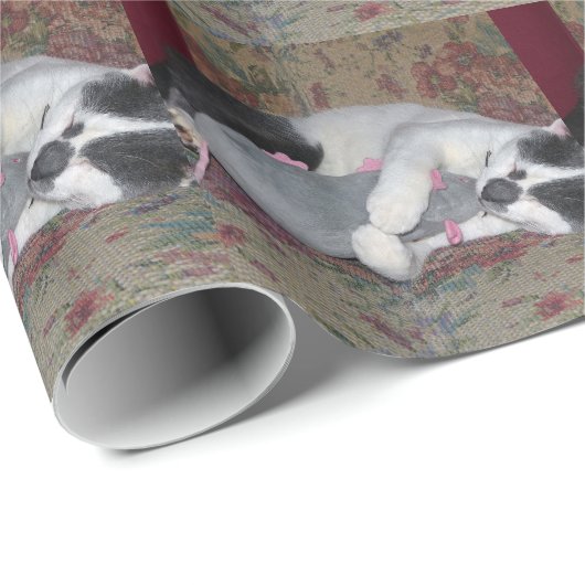 Schlafkitten Geschenkpapier (Rolleneckpunkt)