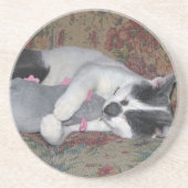 Schlafkitten Getränkeuntersetzer (Vorne)