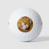 Schlafkitten Golfball (Vorderseite)