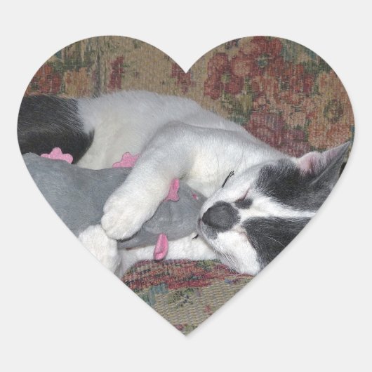 Schlafkitten Herz-Aufkleber (Vorderseite)