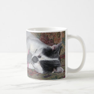 Schlafkitten Kaffeetasse
