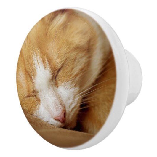 Schlafkitten Keramikknauf (Rechts)